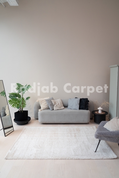 Купить ковер | Ковры в Москве в интернет-магазине · Radjab Carpet